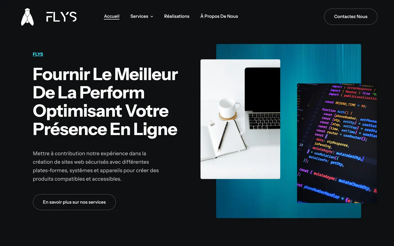 Ancienne page d'accueil WordPress de FLYS
